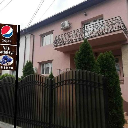 Casa Cattleya Hotel Târgu Jiu Exterior foto